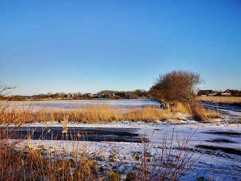 Scenic view of field against clear blue sky during winter
