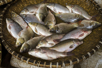 High angle view of fish for sale at market