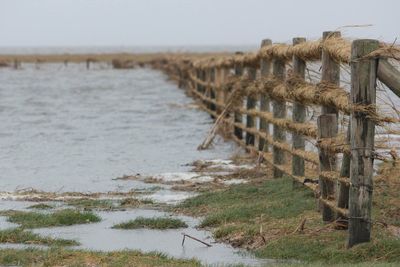 Wooden posts on beach against sky