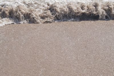 High angle view of surf on beach