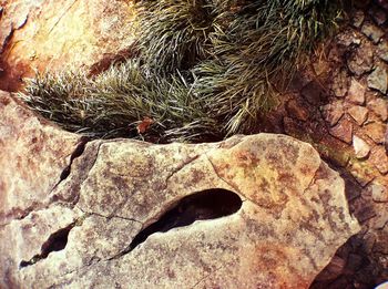 Full frame shot of rock