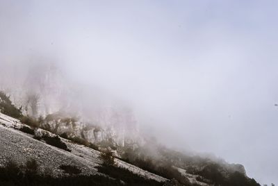 Trees on landscape against sky