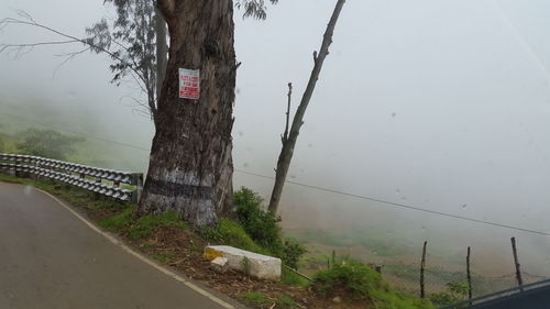 Road passing through trees