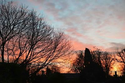 Silhouette of trees at sunset