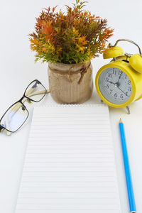 Close-up of potted plant on table