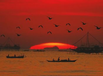 Silhouette birds flying over sea against orange sky