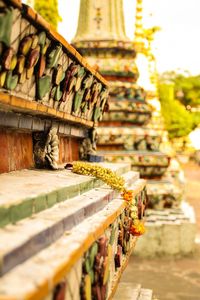 Close-up of lizard on temple