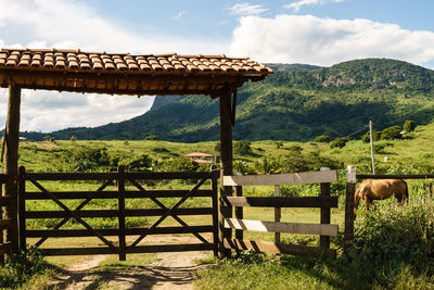 View of an animal on field against mountains