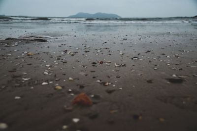 Surface level of wet sand on beach against sky