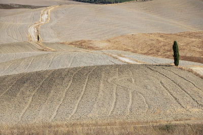 Scenic view of agricultural field