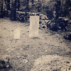 Stone wall in cemetery