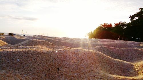 Surface level of road against sky during sunset