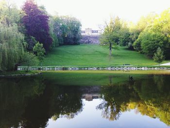 Reflection of trees in pond