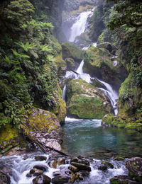 Scenic view of waterfall in forest