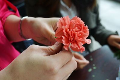 Close-up of hand holding flower