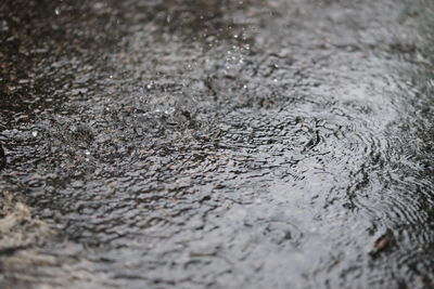 Full frame shot of raindrops on metal