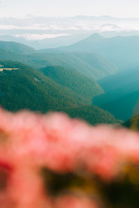 Aerial view of landscape against sky