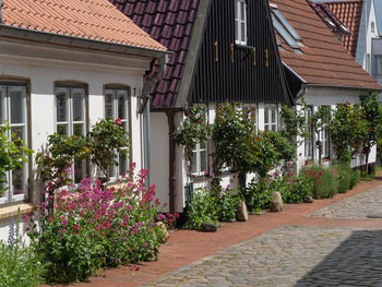 Trees and houses