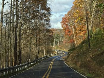 Empty road along trees and plants