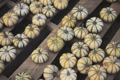 High angle view of pumpkins