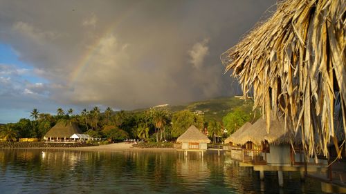 Panoramic view of palm trees against sky