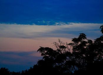 Low angle view of silhouette trees against sky at sunset