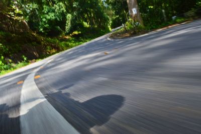 Surface level of vehicles on road along trees