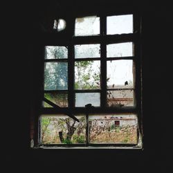 Trees seen through window of abandoned house