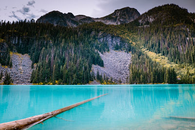 Scenic view of lake against mountains in forest