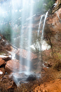 Scenic view of waterfall in forest