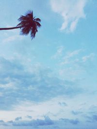 Low angle view of cloudy sky