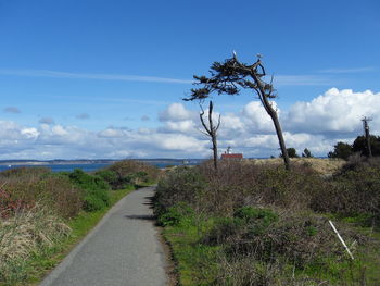 Road amidst plants on field against sky