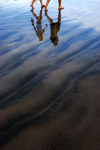 Low section of people on beach