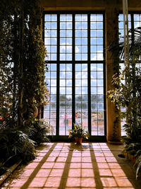 Potted plants and window in building