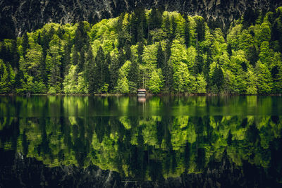 Panoramic view cabin by the lake with reflections