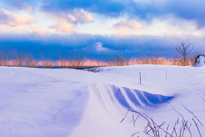 Scenic view of snow covered field against sky