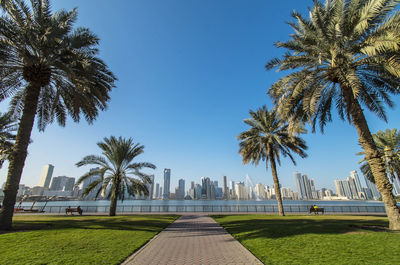 Scenic view of park against clear sky