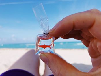 Cropped image of person with fish figurine in plastic bag at beach against blue sky