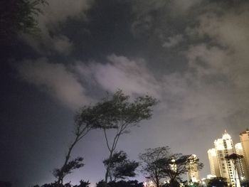 Low angle view of silhouette trees against sky at night