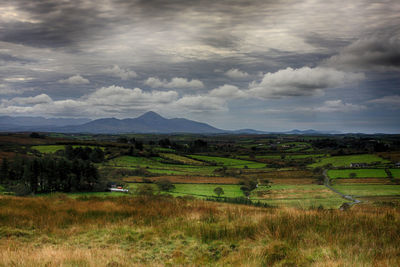 Scenic view of field against sky