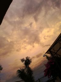 Low angle view of silhouette tree against sky