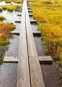 Bog landscape with wet trees, grass and bog moss in the rain, wooden bridge over the bog ditch