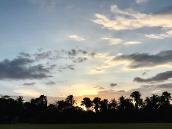 Silhouette trees on field against sky at sunset