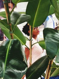 Close-up portrait of woman with leaves on plant