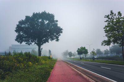 Empty road amidst trees against sky in city