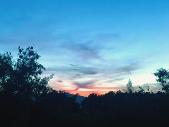 Low angle view of silhouette trees against sky during sunset