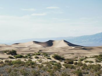 Scenic view of desert against sky