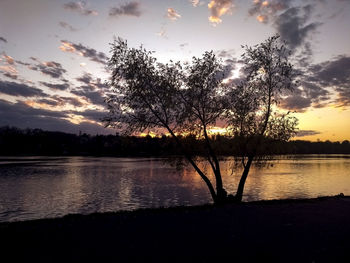 Silhouette trees by lake against sky during sunset