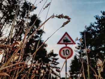 Low angle view of road sign against trees and sky