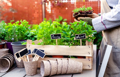 Midsection of woman holding potted plant